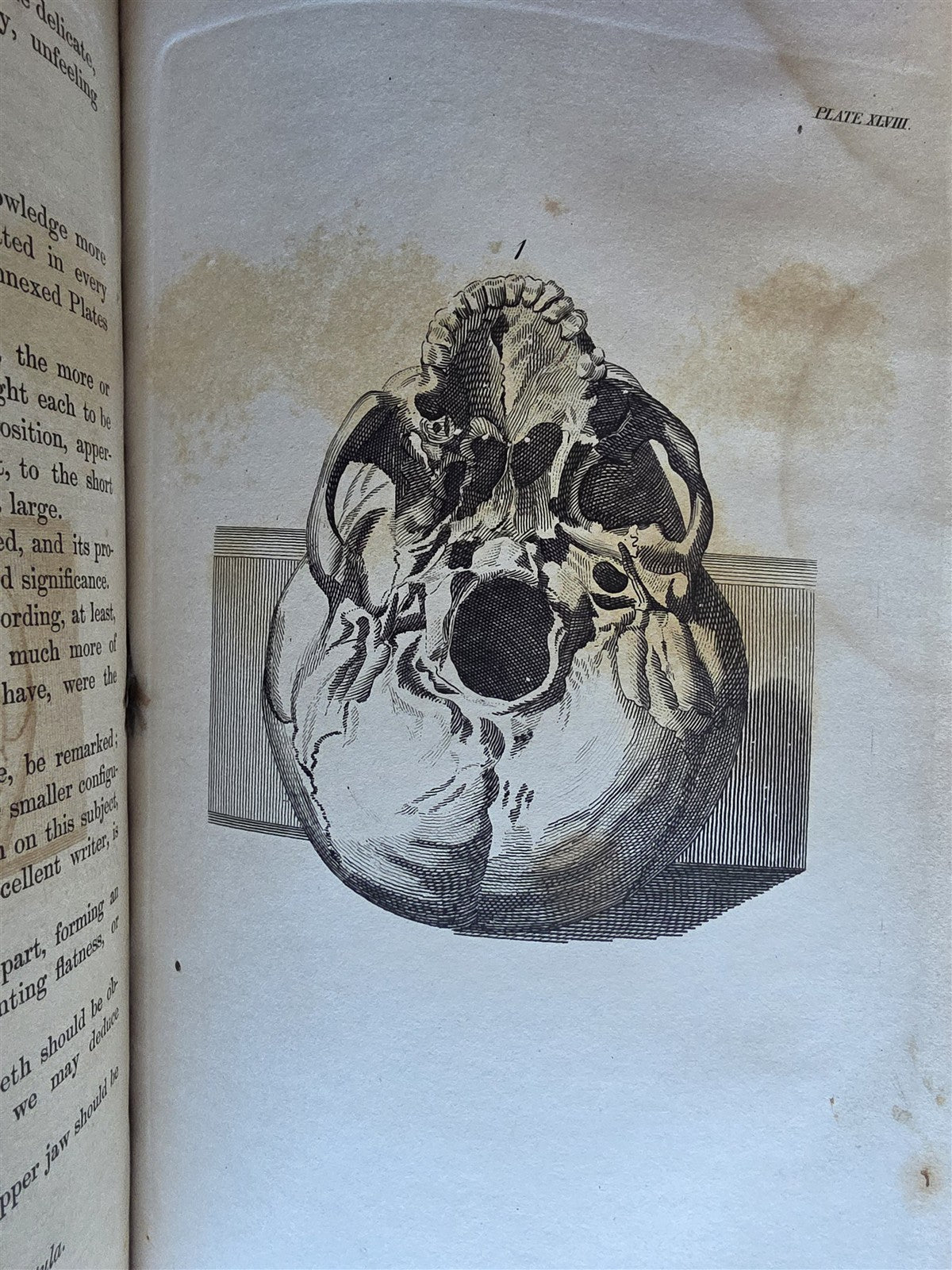 1850 ESSAYS of PHYSIOGNOMY by JOHN CASPAR LAVATER antique ILLUSTRATED