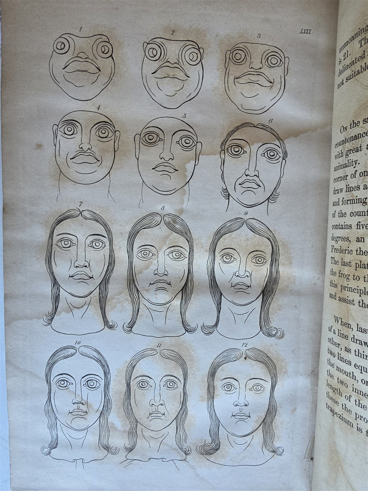 1850 ESSAYS of PHYSIOGNOMY by JOHN CASPAR LAVATER antique ILLUSTRATED