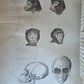1850 ESSAYS of PHYSIOGNOMY by JOHN CASPAR LAVATER antique ILLUSTRATED