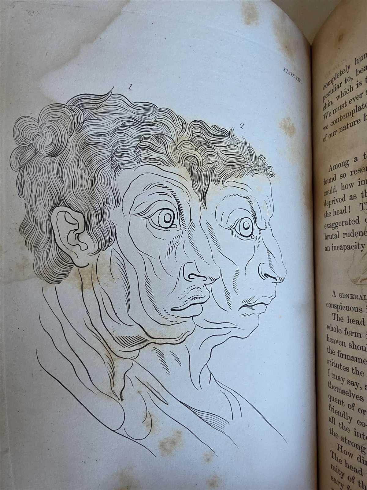 1850 ESSAYS of PHYSIOGNOMY by JOHN CASPAR LAVATER antique ILLUSTRATED