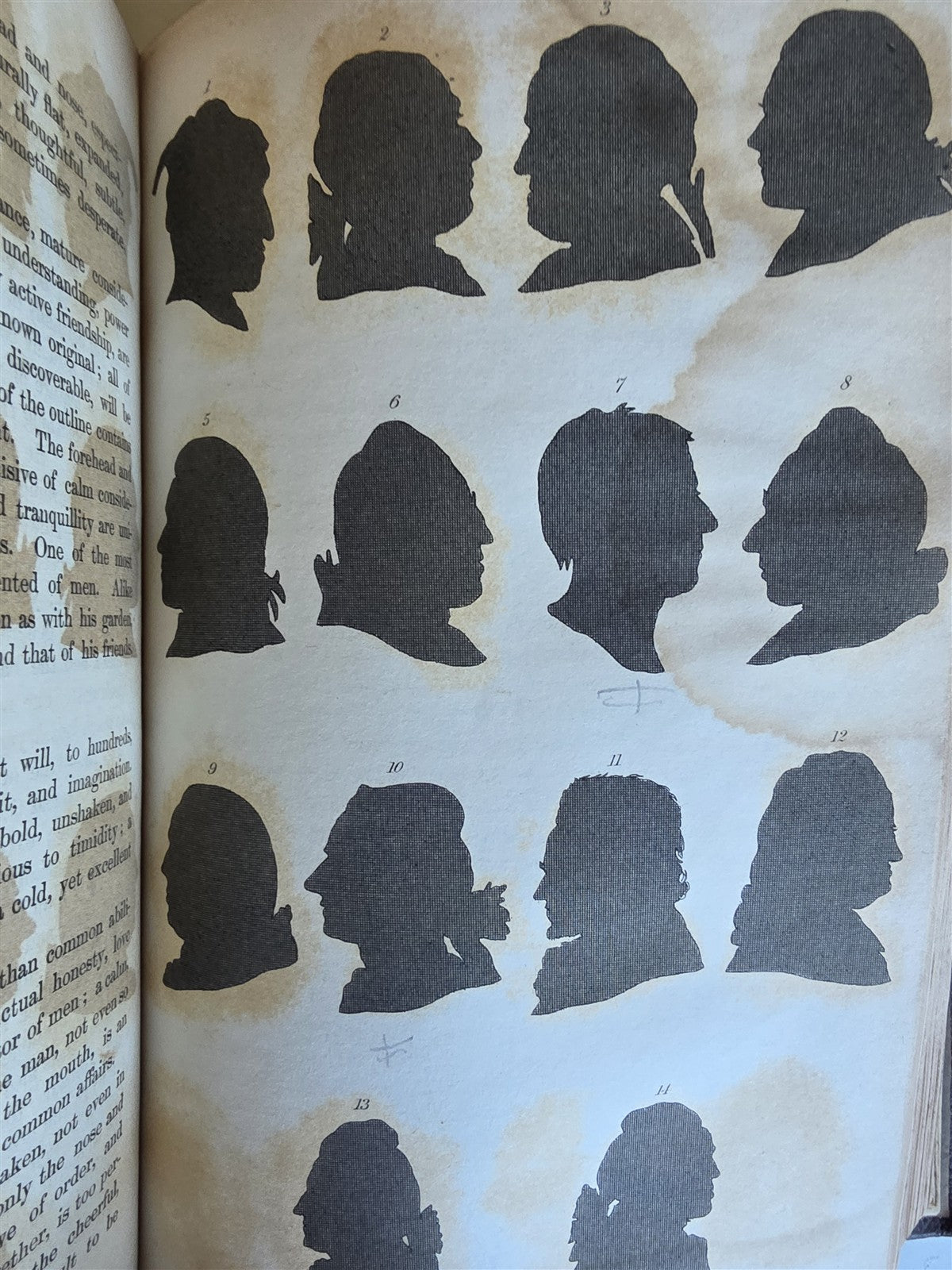 1850 ESSAYS of PHYSIOGNOMY by JOHN CASPAR LAVATER antique ILLUSTRATED