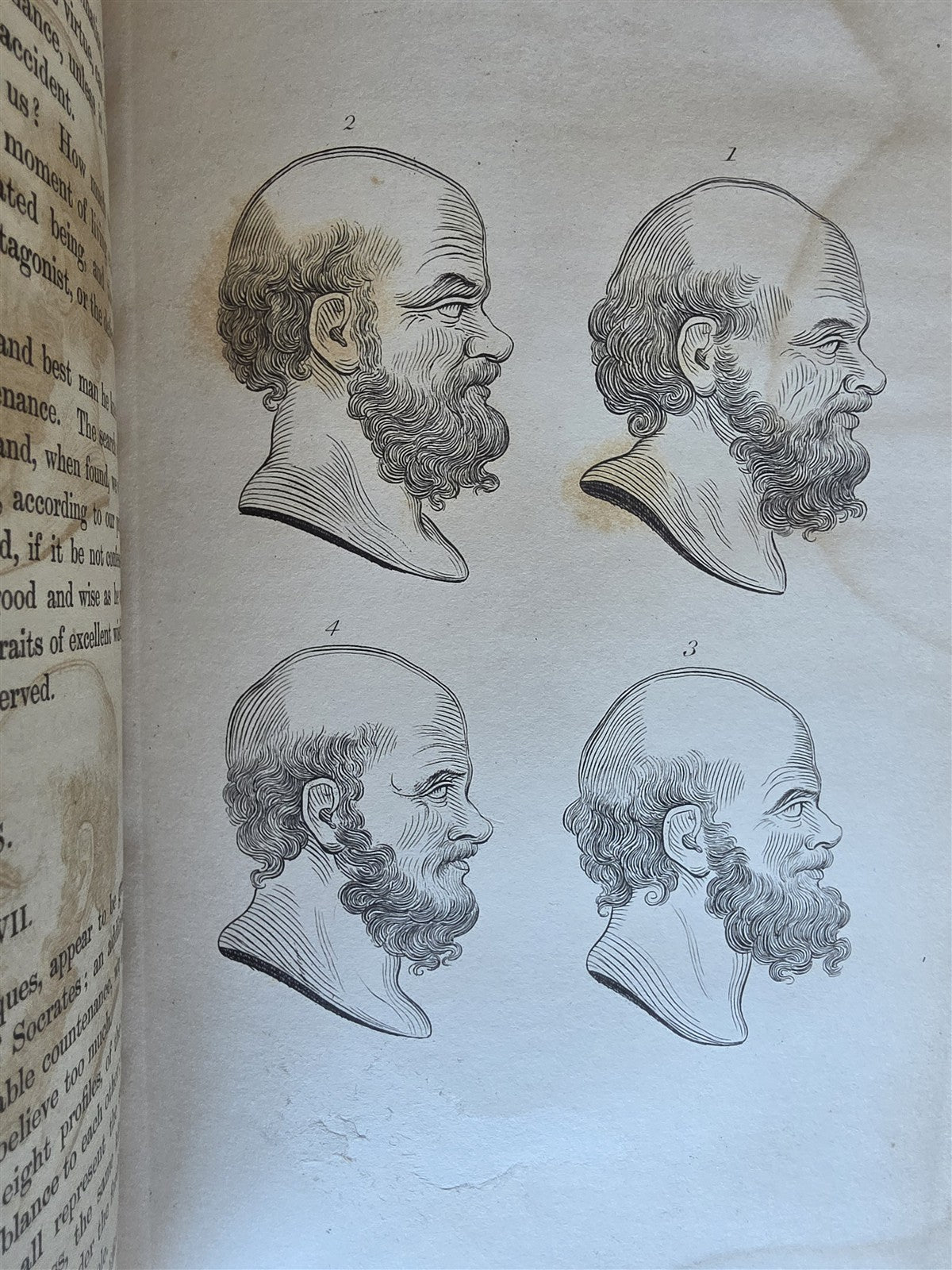 1850 ESSAYS of PHYSIOGNOMY by JOHN CASPAR LAVATER antique ILLUSTRATED