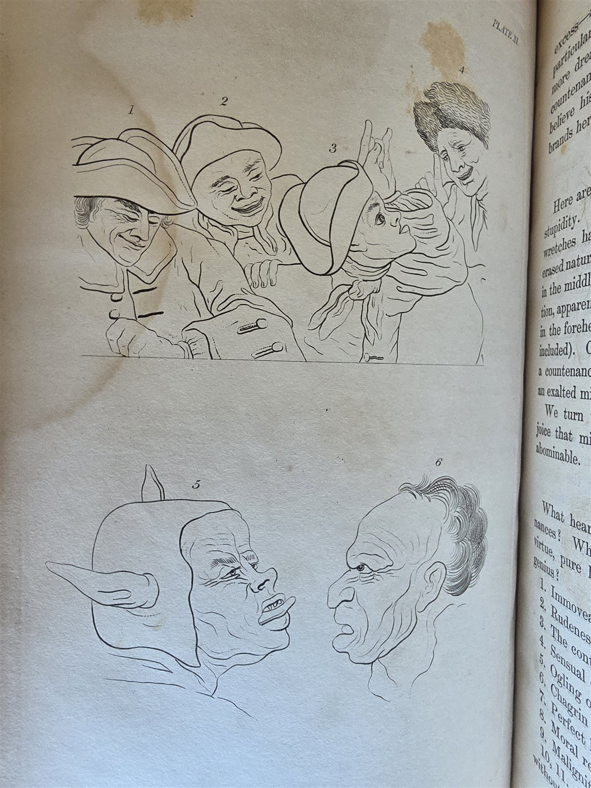 1850 ESSAYS of PHYSIOGNOMY by JOHN CASPAR LAVATER antique ILLUSTRATED
