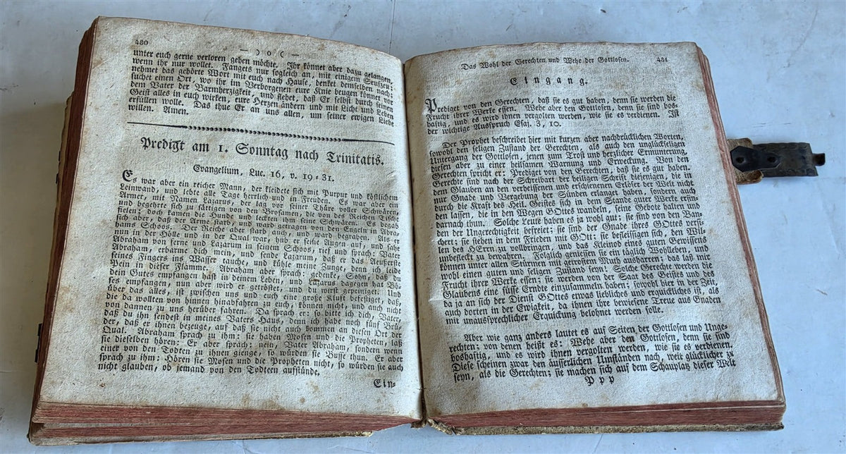 1836 SERMONS in GERMAN PROTESTANT TESTIMONIES of TRUTH antique PIGSKIN BINDING