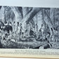 1967 SACAJAWEA A GUIDE & INTERPRETER of the LEWIS & CLARK EXPEDITION illustrated