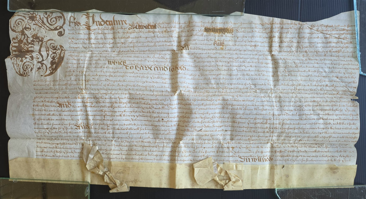 1600s MANUSCRIPT INDENTURE on VELLUM in ENGLISH antique 13 x 26"