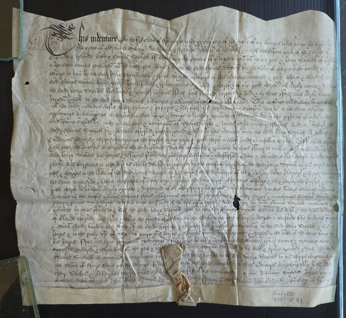 1509-1547 HENRY VIII era MANUSCRIPT INDENTURE on VELLUM in ENGLISH antique 11x12
