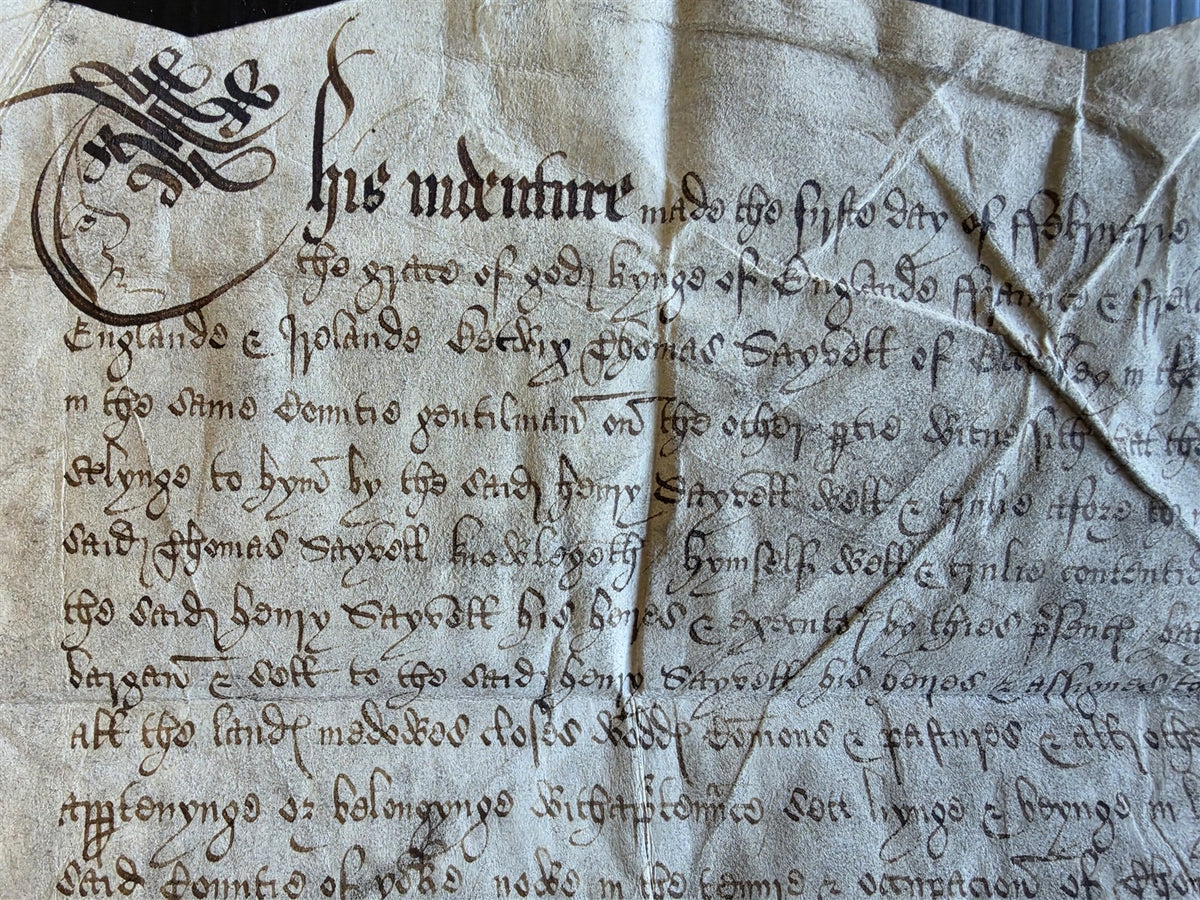 1509-1547 HENRY VIII era MANUSCRIPT INDENTURE on VELLUM in ENGLISH antique 11x12