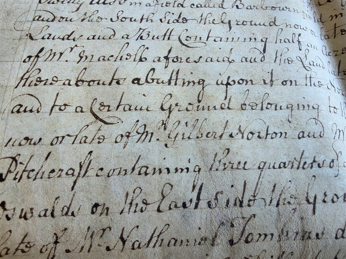 1753 MANUSCRIPT INDENTURE on VELLUM in ENGLISH antique LEASE of LAND 17x21.5"