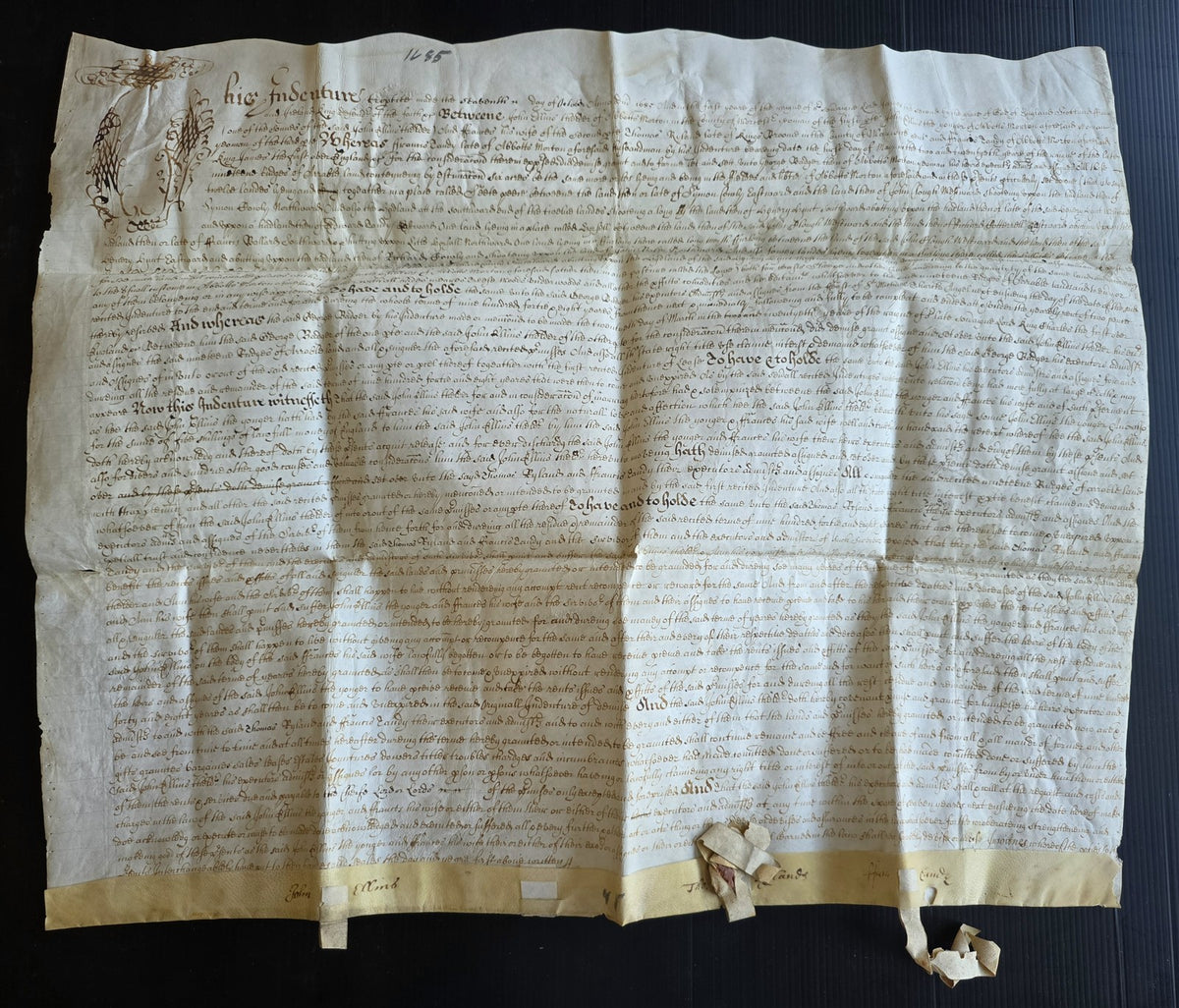 1685 MANUSCRIPT INDENTURE on VELLUM in ENGLISH antique 20x24.5"