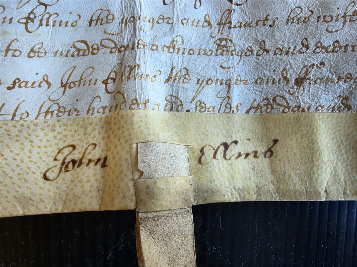 1685 MANUSCRIPT INDENTURE on VELLUM in ENGLISH antique 20x24.5"