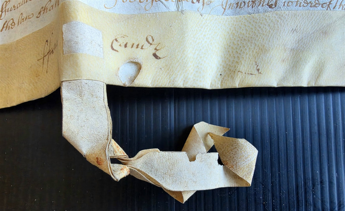 1685 MANUSCRIPT INDENTURE on VELLUM in ENGLISH antique 20x24.5"