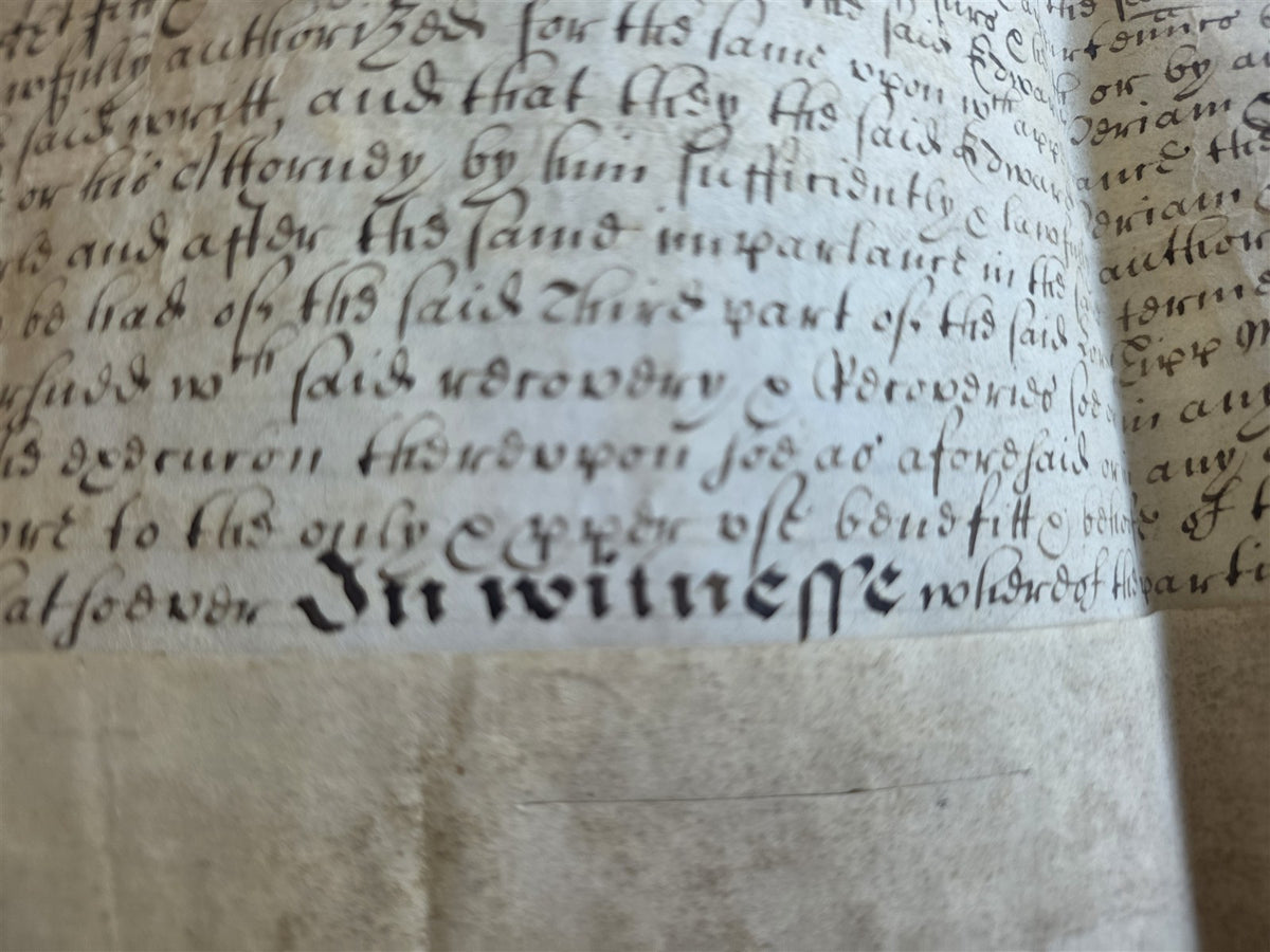 1673 MANUSCRIPT INDENTURE on VELLUM w/ WAX SEAL in ENGLISH antique 14.5x24"