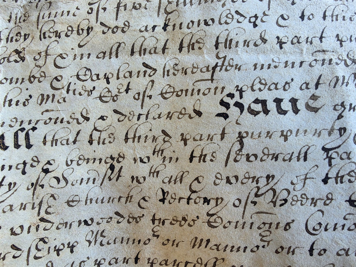 1673 MANUSCRIPT INDENTURE on VELLUM w/ WAX SEAL in ENGLISH antique 14.5x24"