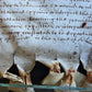 17th century MANUSCRIPT INDENTURE on VELLUM in ENGLISH antique 23x28"