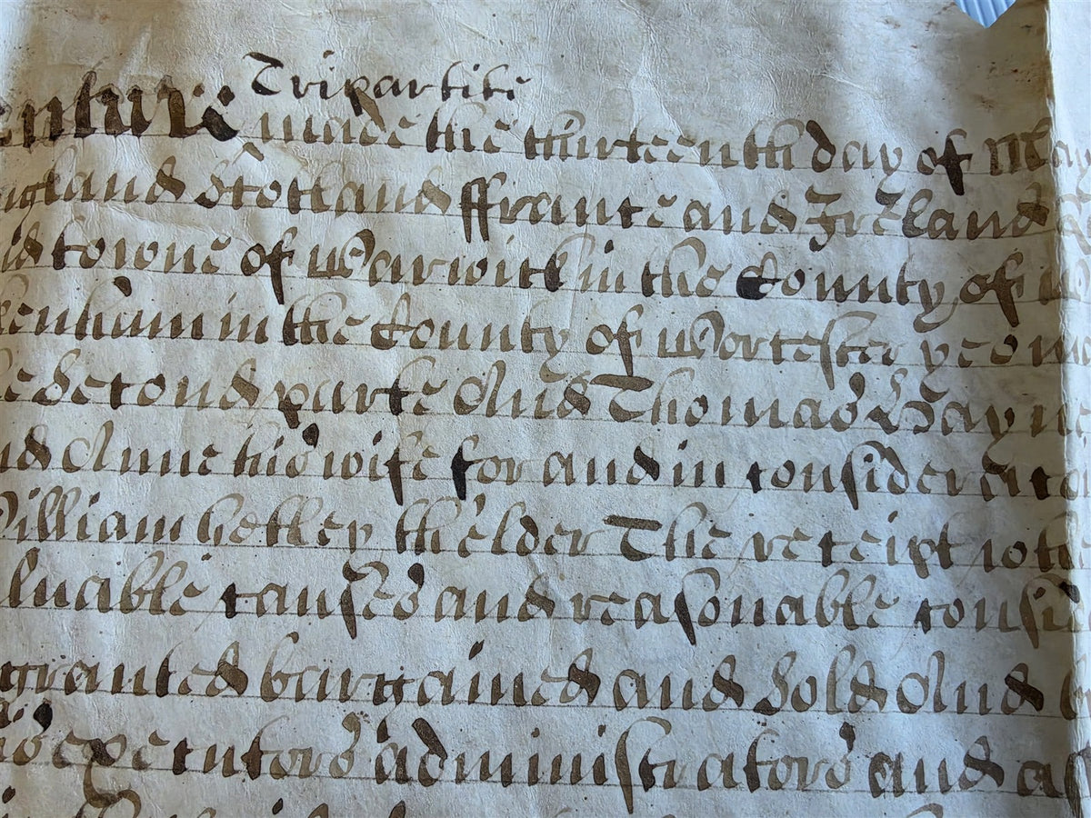 17th century MANUSCRIPT INDENTURE on VELLUM in ENGLISH w/ 4 WAX SEALS antique