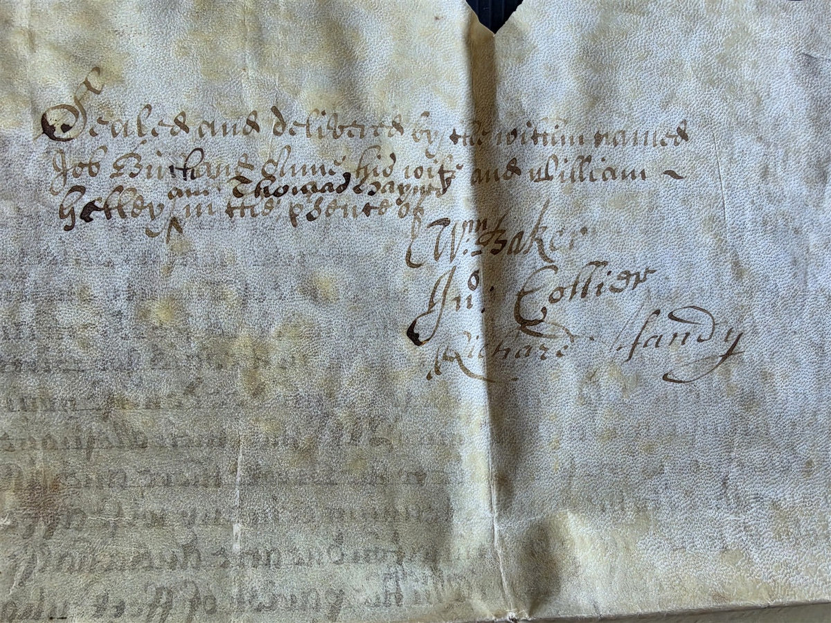 17th century MANUSCRIPT INDENTURE on VELLUM in ENGLISH w/ 4 WAX SEALS antique