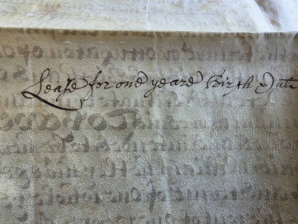 17th century MANUSCRIPT INDENTURE on VELLUM in ENGLISH w/ 4 WAX SEALS antique
