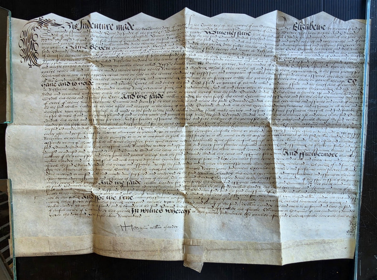 1569 MANUSCRIPT INDENTURE on VELLUM in ENGLISH antique 14 x 21"