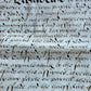 1569 MANUSCRIPT INDENTURE on VELLUM in ENGLISH antique 14 x 21"