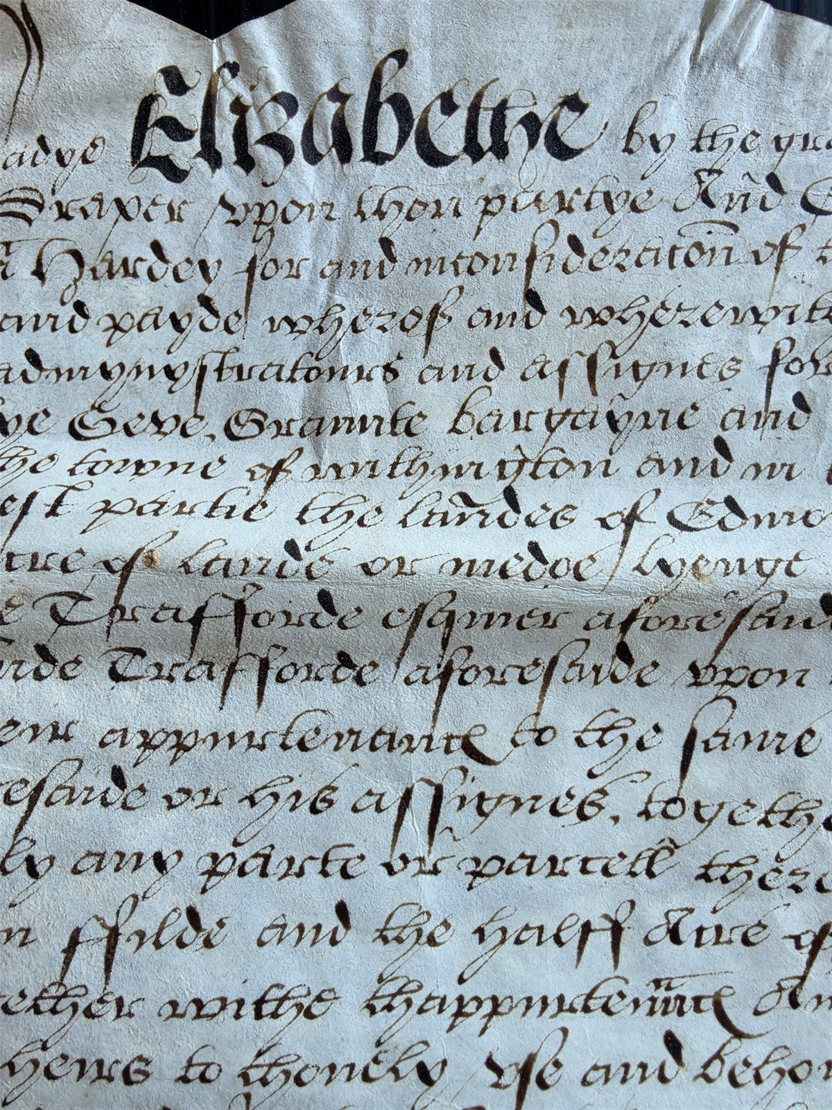 1569 MANUSCRIPT INDENTURE on VELLUM in ENGLISH antique 14 x 21"