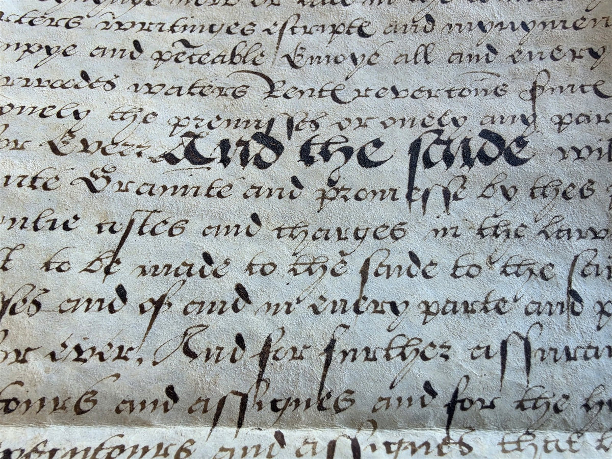 1569 MANUSCRIPT INDENTURE on VELLUM in ENGLISH antique 14 x 21"