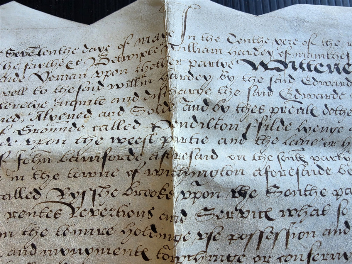 1569 MANUSCRIPT INDENTURE on VELLUM in ENGLISH antique 14 x 21"