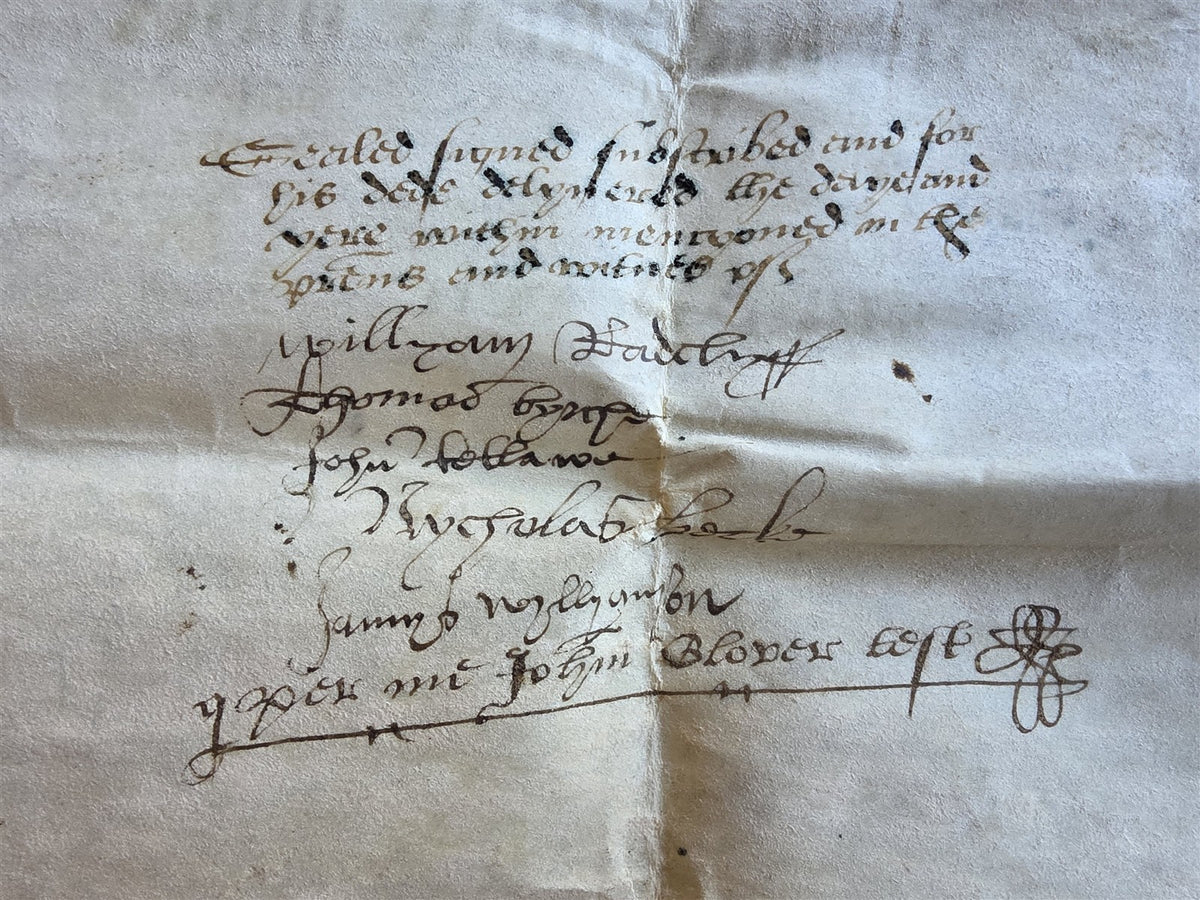 1569 MANUSCRIPT INDENTURE on VELLUM in ENGLISH antique 14 x 21"