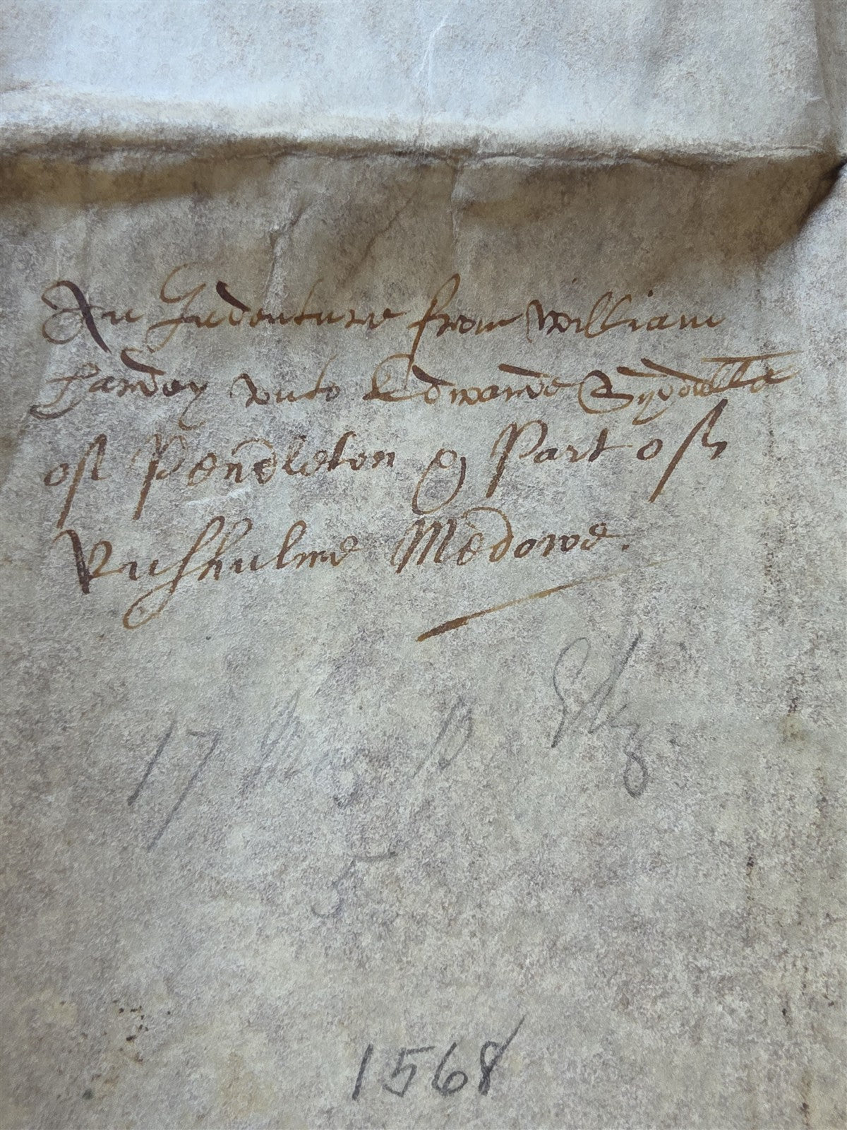 1569 MANUSCRIPT INDENTURE on VELLUM in ENGLISH antique 14 x 21"