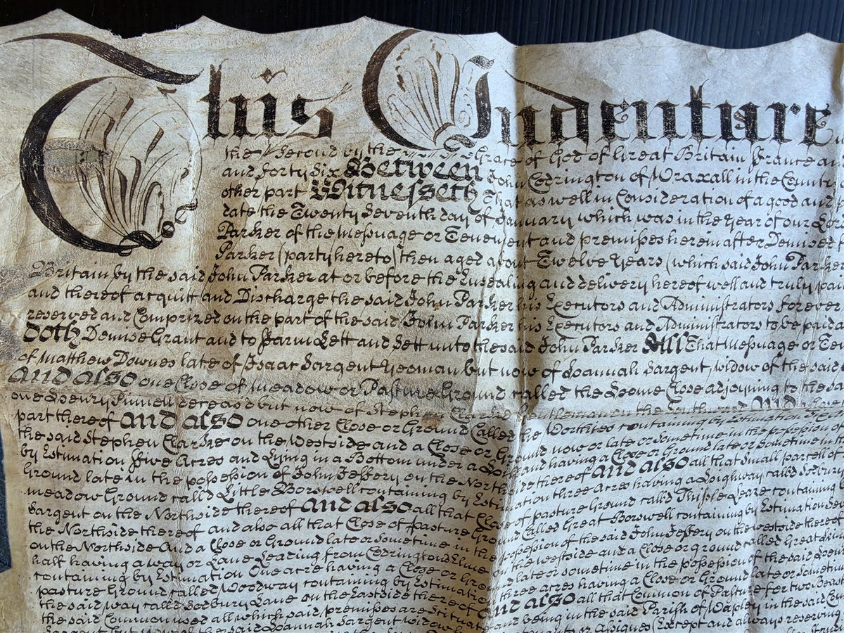 1746 MANUSCRIPT INDENTURE on VELLUM in ENGLISH antique 25 x 29"