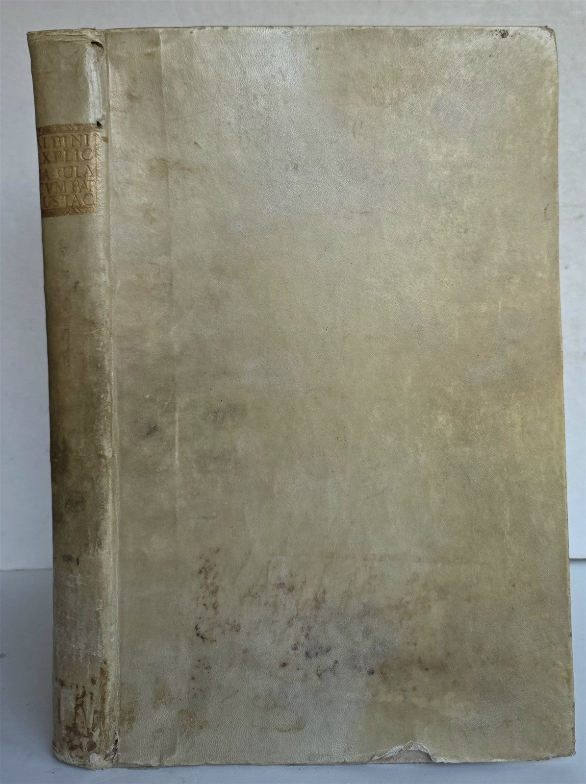 1744 ANATOMICAL TREATISE Tabularum Anatomicarum ILLUSTRATED FOLIO antique