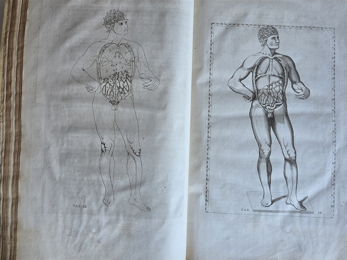 1744 ANATOMICAL TREATISE Tabularum Anatomicarum ILLUSTRATED FOLIO antique