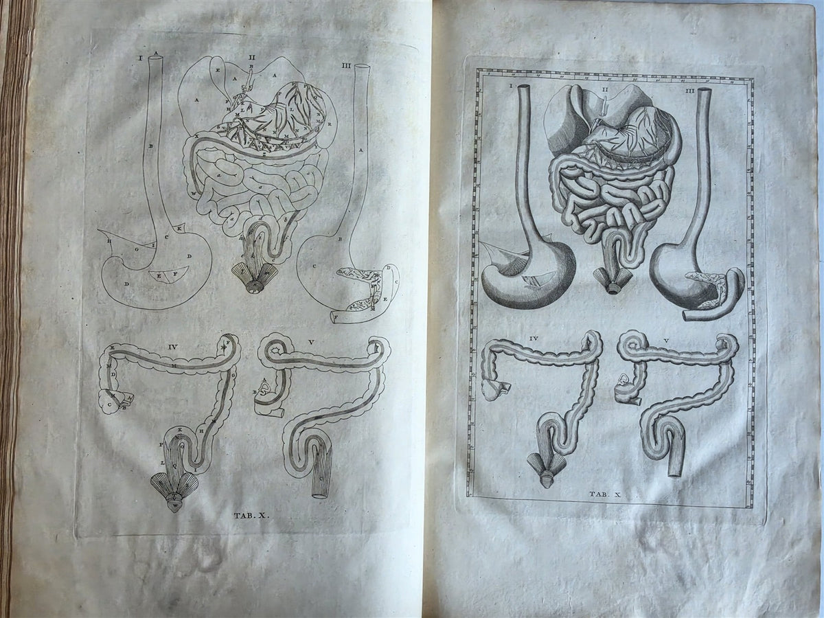 1744 ANATOMICAL TREATISE Tabularum Anatomicarum ILLUSTRATED FOLIO antique