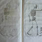1744 ANATOMICAL TREATISE Tabularum Anatomicarum ILLUSTRATED FOLIO antique
