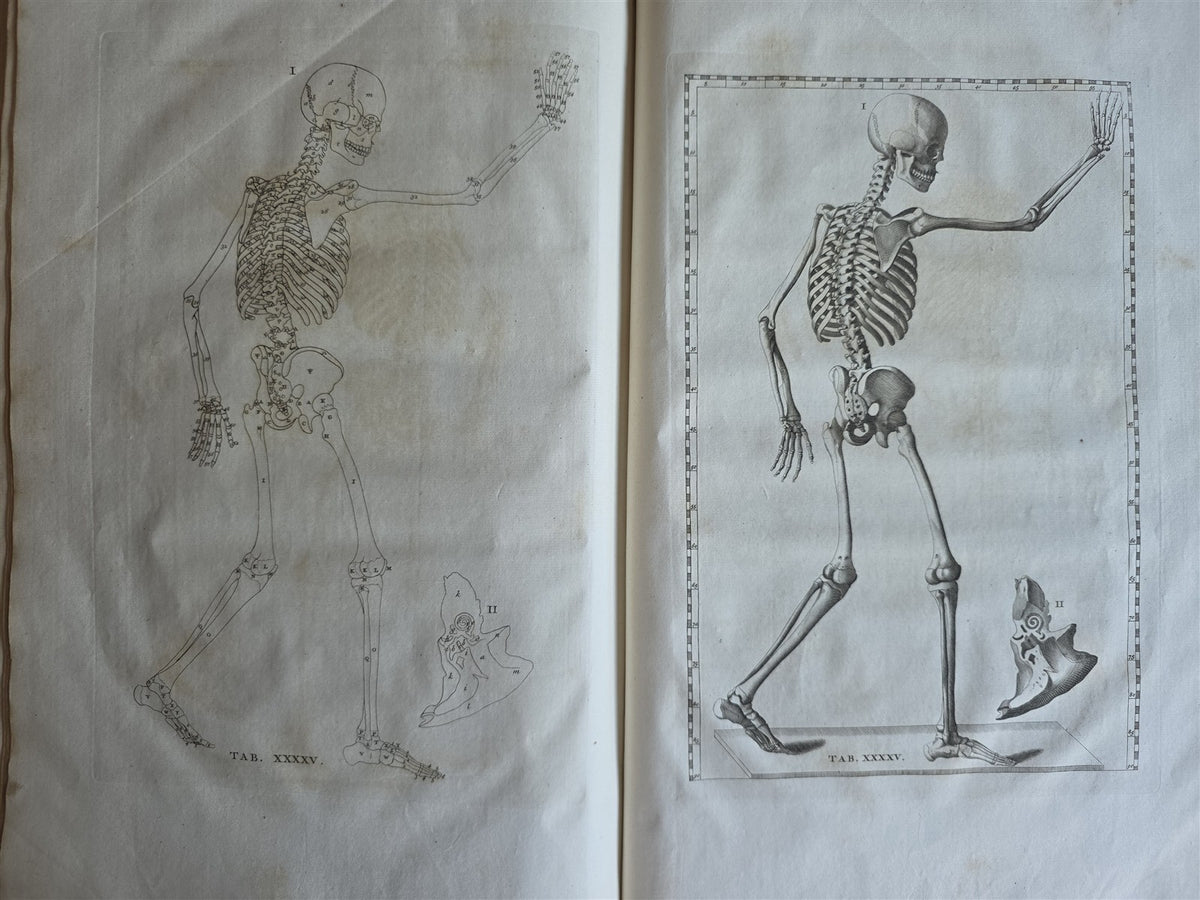 1744 ANATOMICAL TREATISE Tabularum Anatomicarum ILLUSTRATED FOLIO antique