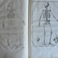1744 ANATOMICAL TREATISE Tabularum Anatomicarum ILLUSTRATED FOLIO antique