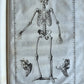 1744 ANATOMICAL TREATISE Tabularum Anatomicarum ILLUSTRATED FOLIO antique