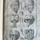 1744 ANATOMICAL TREATISE Tabularum Anatomicarum ILLUSTRATED FOLIO antique