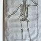 1744 ANATOMICAL TREATISE Tabularum Anatomicarum ILLUSTRATED FOLIO antique
