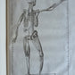 1744 ANATOMICAL TREATISE Tabularum Anatomicarum ILLUSTRATED FOLIO antique