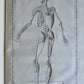 1744 ANATOMICAL TREATISE Tabularum Anatomicarum ILLUSTRATED FOLIO antique