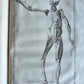 1744 ANATOMICAL TREATISE Tabularum Anatomicarum ILLUSTRATED FOLIO antique