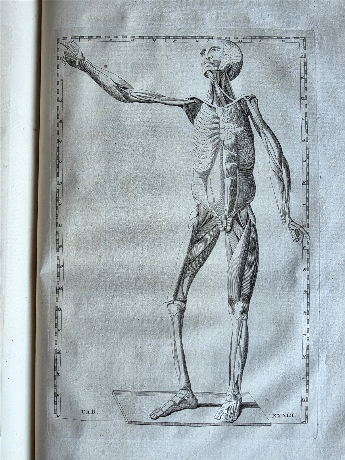 1744 ANATOMICAL TREATISE Tabularum Anatomicarum ILLUSTRATED FOLIO antique