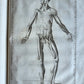 1744 ANATOMICAL TREATISE Tabularum Anatomicarum ILLUSTRATED FOLIO antique