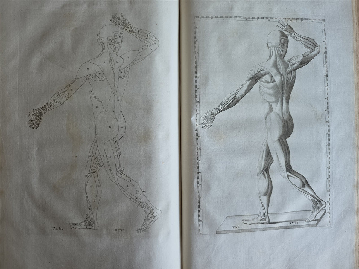 1744 ANATOMICAL TREATISE Tabularum Anatomicarum ILLUSTRATED FOLIO antique