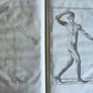 1744 ANATOMICAL TREATISE Tabularum Anatomicarum ILLUSTRATED FOLIO antique