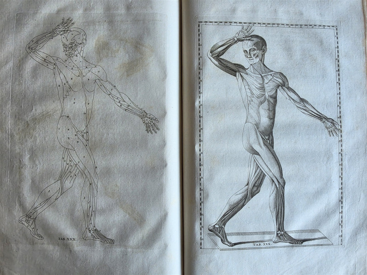 1744 ANATOMICAL TREATISE Tabularum Anatomicarum ILLUSTRATED FOLIO antique