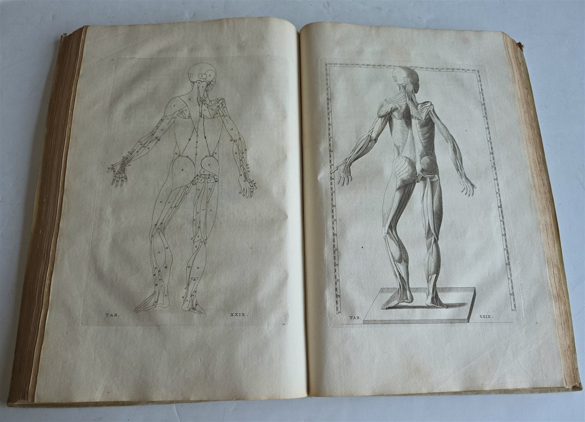 1744 ANATOMICAL TREATISE Tabularum Anatomicarum ILLUSTRATED FOLIO antique