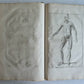 1744 ANATOMICAL TREATISE Tabularum Anatomicarum ILLUSTRATED FOLIO antique