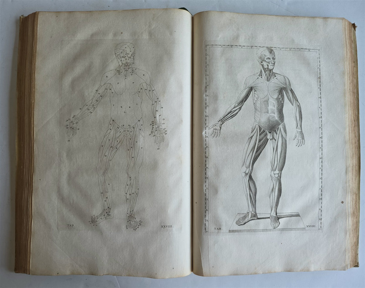 1744 ANATOMICAL TREATISE Tabularum Anatomicarum ILLUSTRATED FOLIO antique